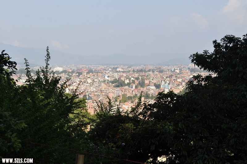 DSC_0606.JPG