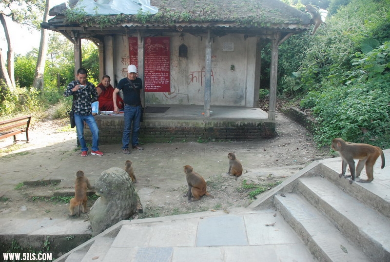 DSC_0739.JPG