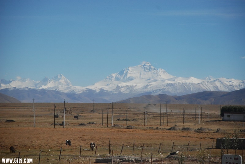 DSC_0785.JPG