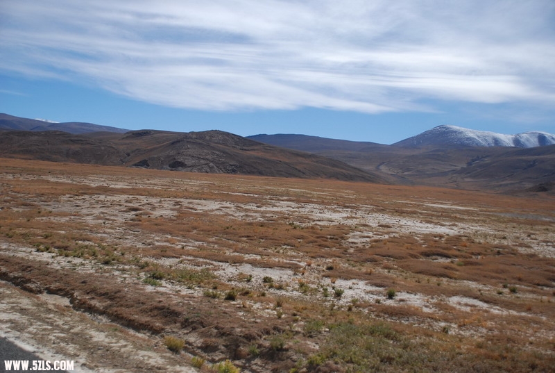 DSC_0795.JPG