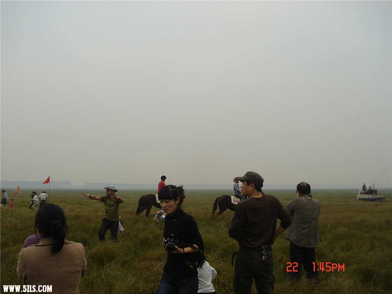 dsc00055_.jpg