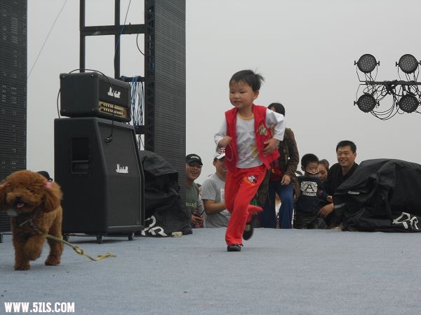 2011帐篷节 095 (18)-1.jpg