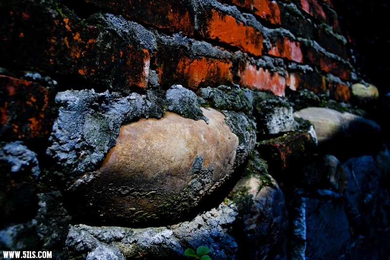 nEO_IMG__DSC1505.jpg