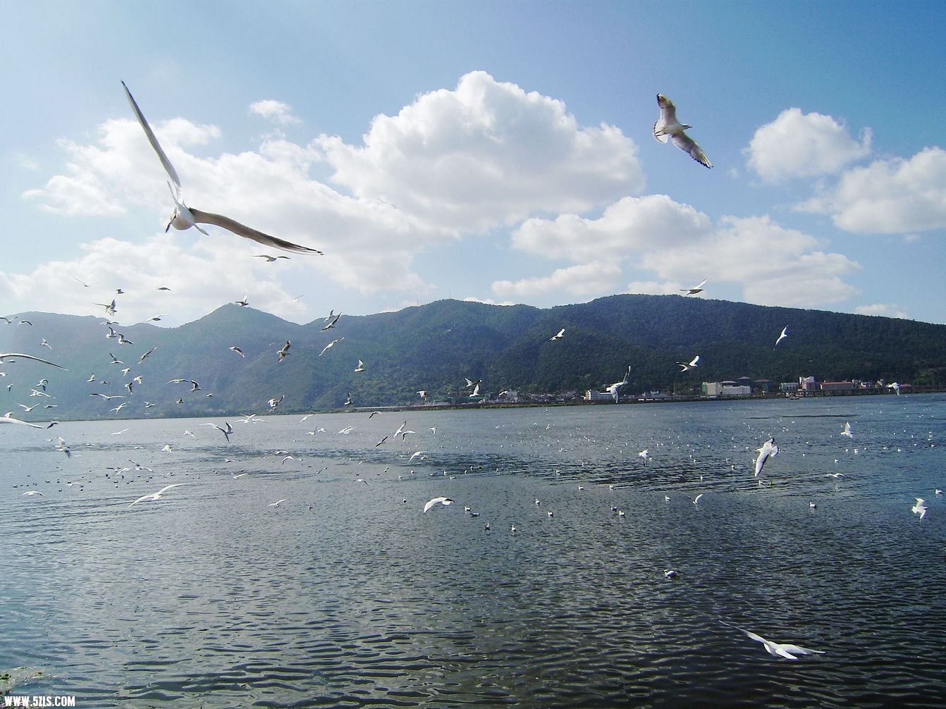 IMG-0461.JPG