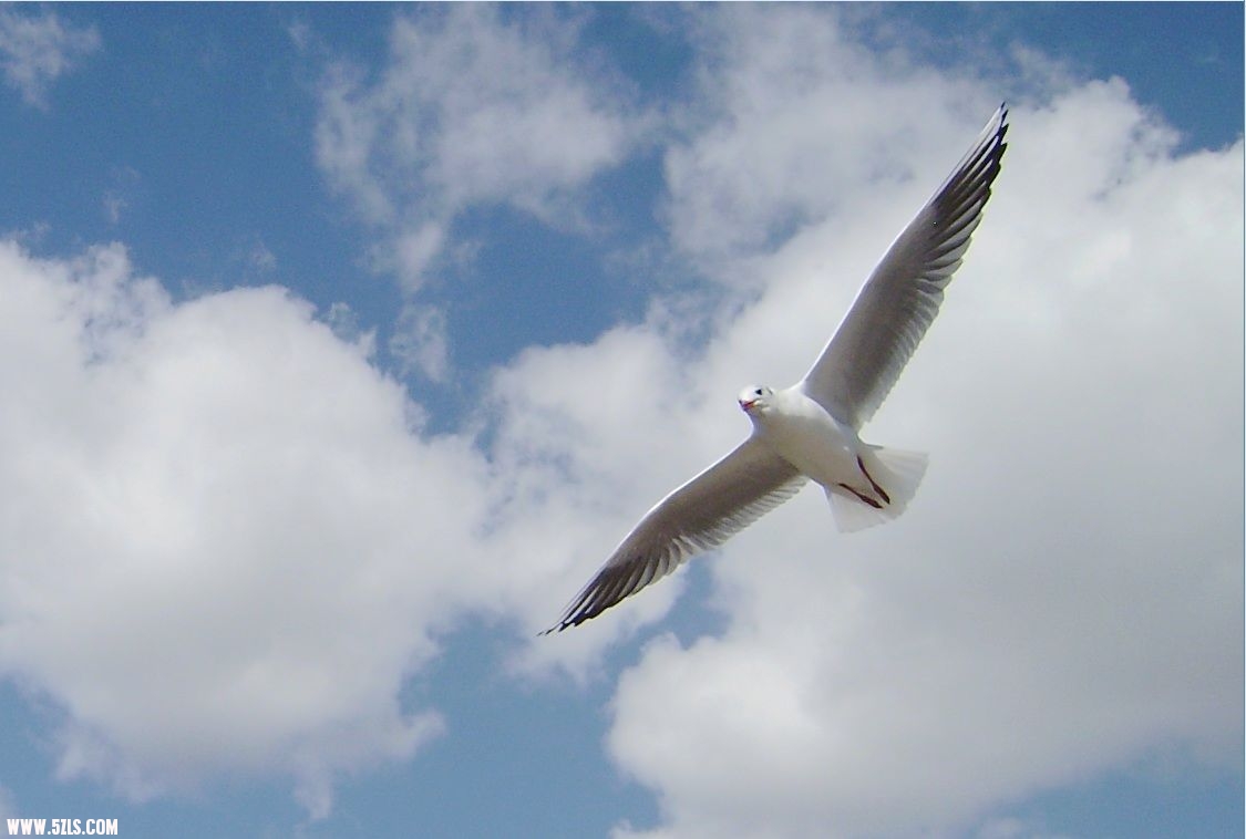 IMG-0434.jpg