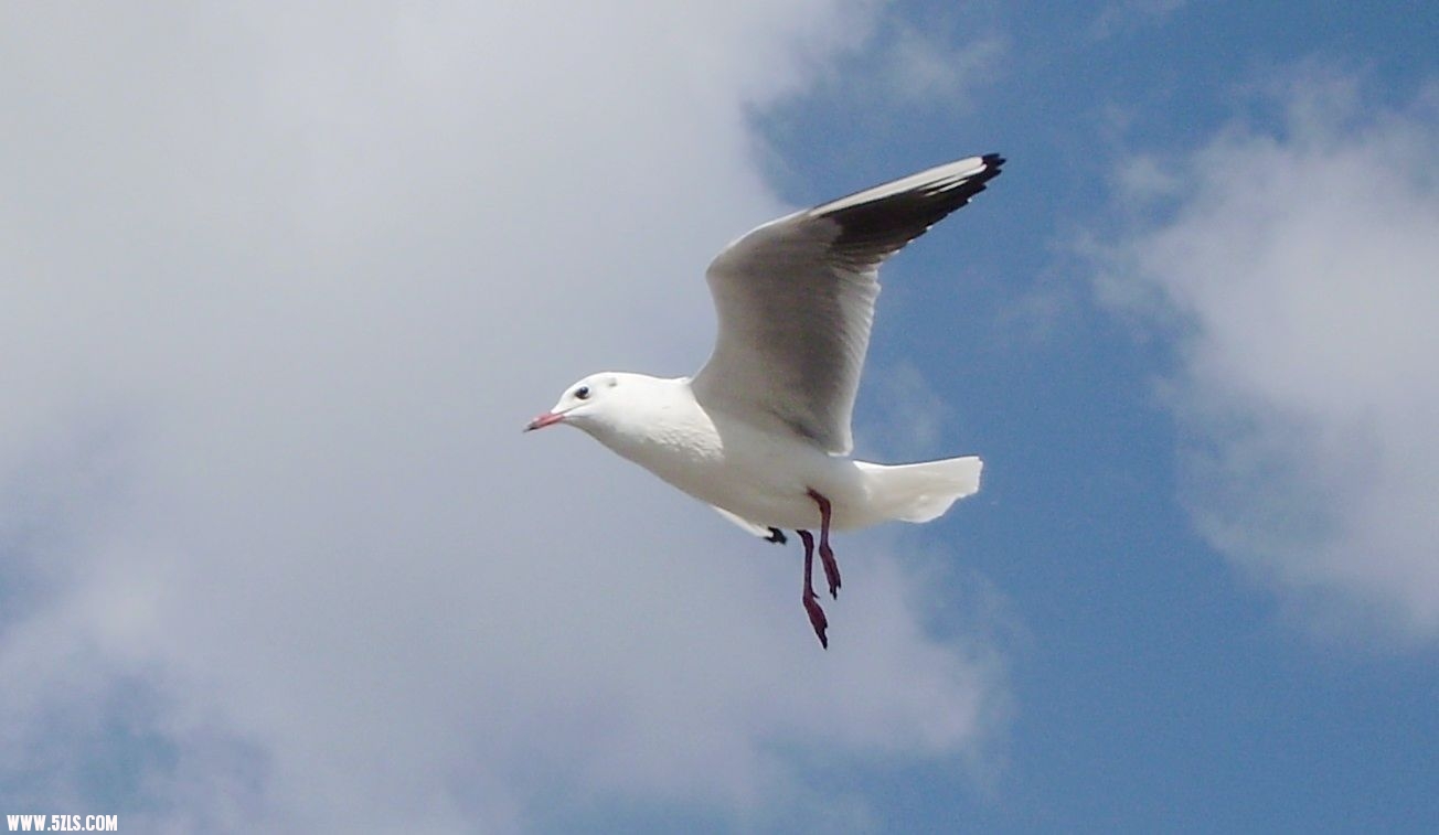 IMG-0514.jpg