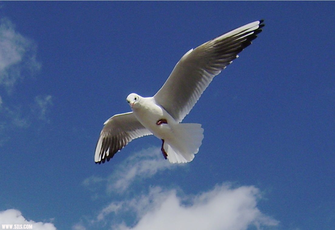 IMG-0474.jpg