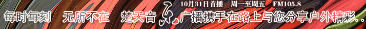 2011·ϳָ.jpg