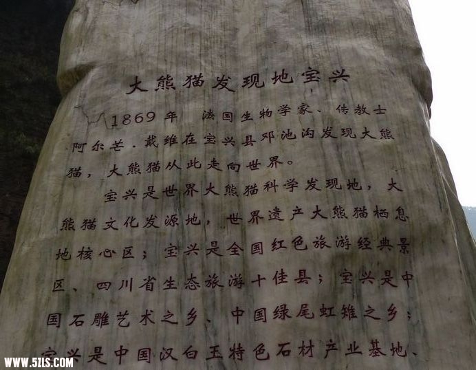 P2.jpg