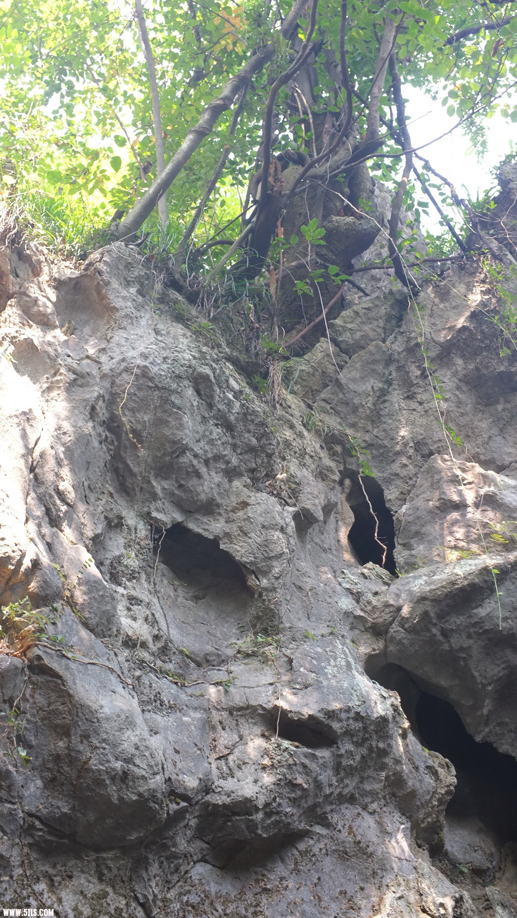 DSCF1076.jpg