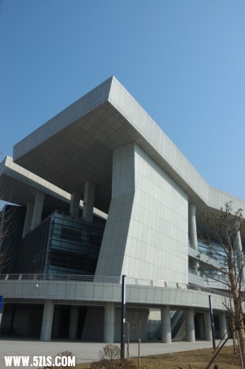 65.jpg