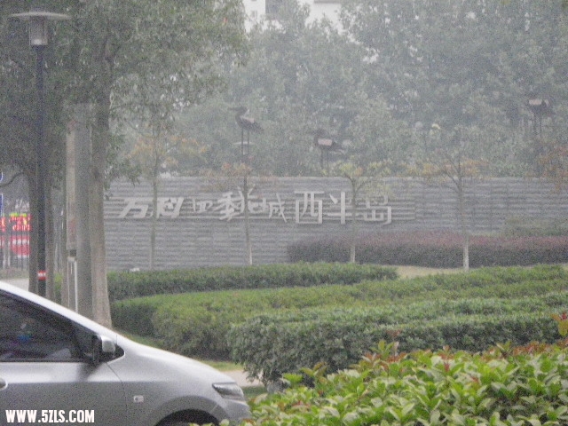 IMGP2817.JPG