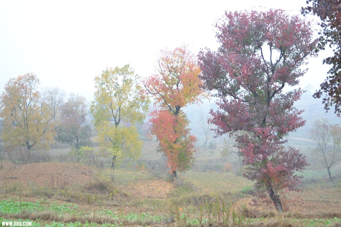 DSC_0665.JPG