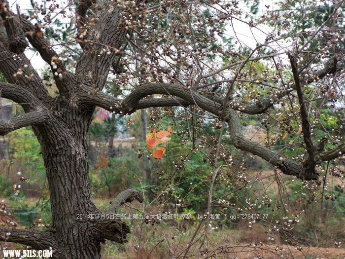 DSCF1045.JPG