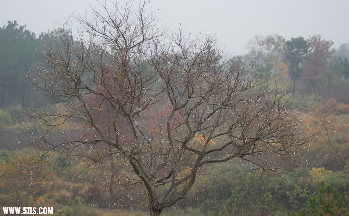 DSC02185.JPG