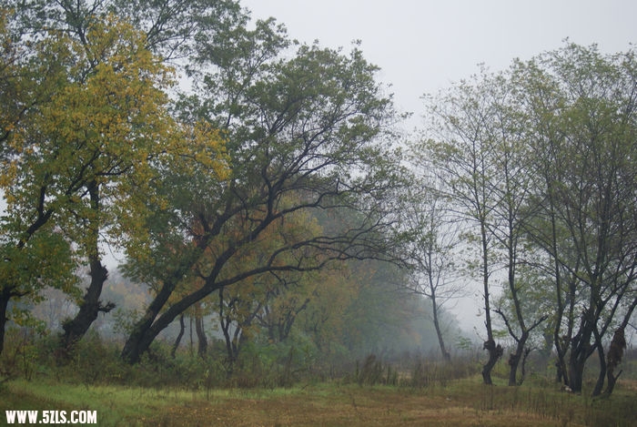 DSC02215.JPG