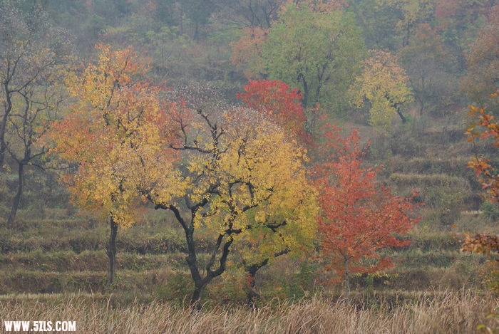 DSC02255.JPG