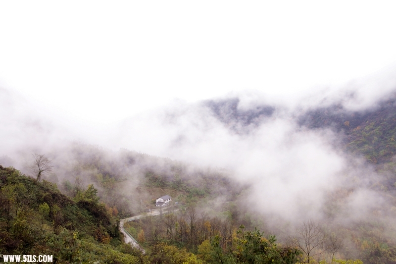 _MG_7231.jpg