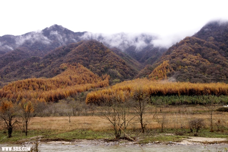 _MG_7750.jpg