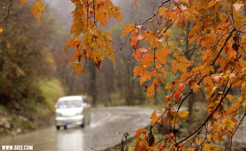 _MG_7419.jpg