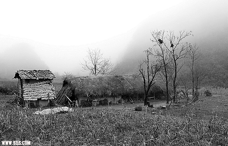 _MG_7213.jpg