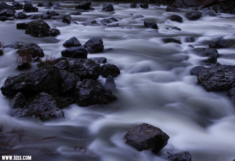 _MG_7947.jpg