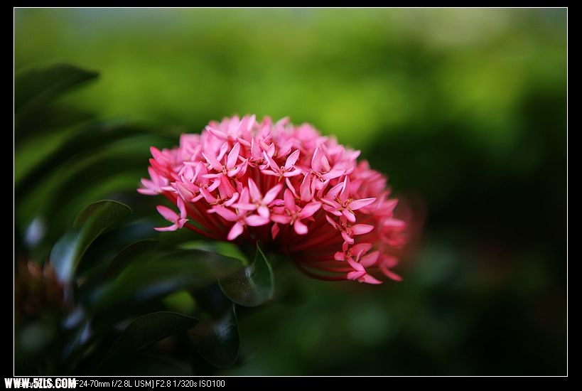 nEO_IMG_IMG_8969.jpg