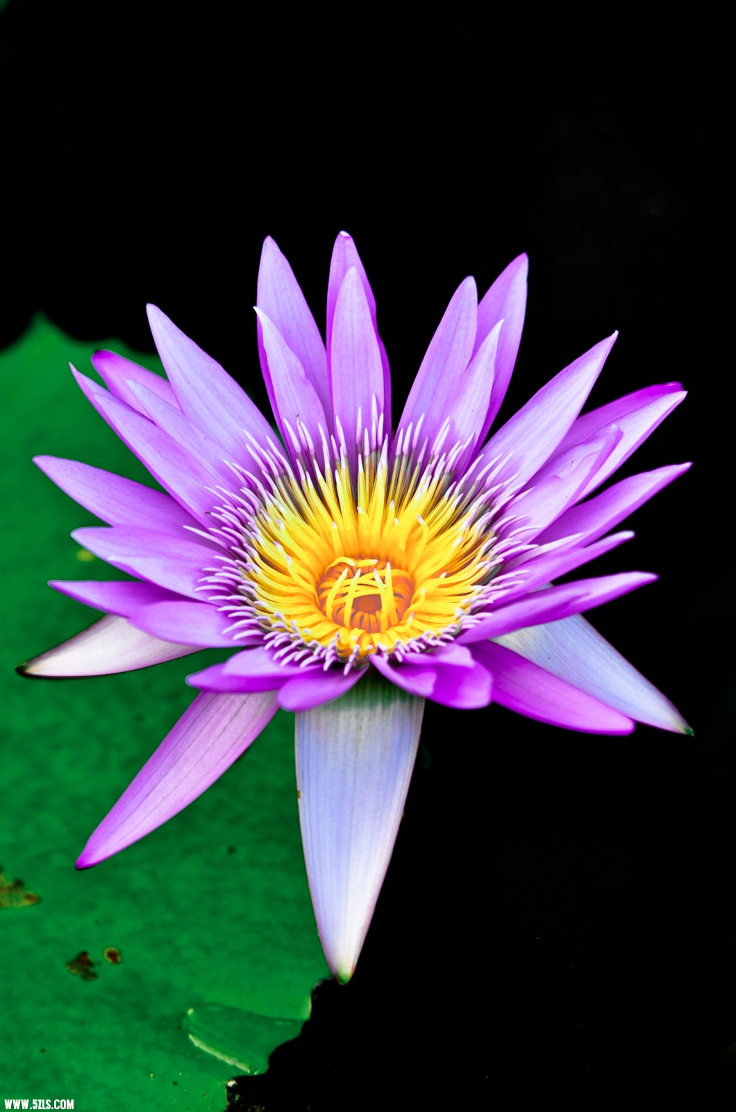 DSC_0910re.jpg