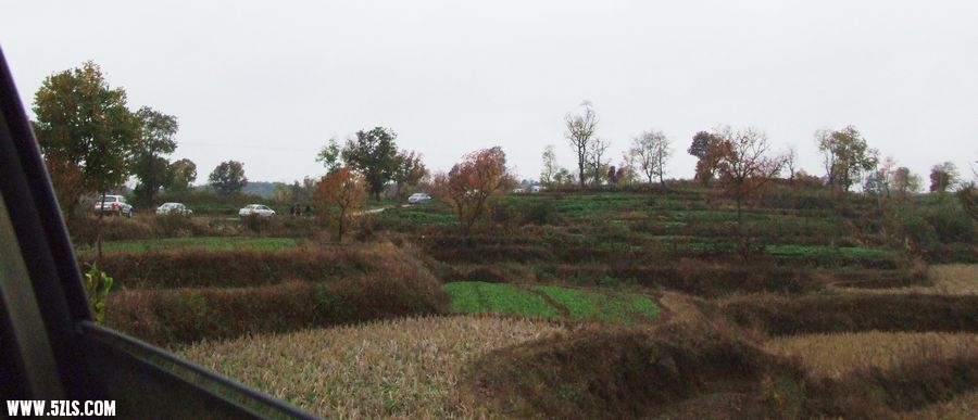 DSCF4429.JPG