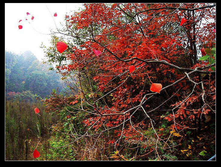 20111172171117978.jpg