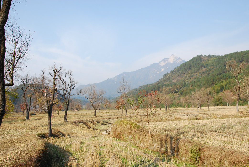 DSC_0006.JPG