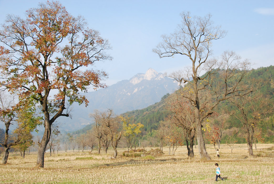 DSC_0010.JPG