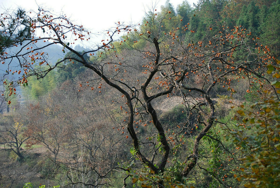 DSC_0022.JPG