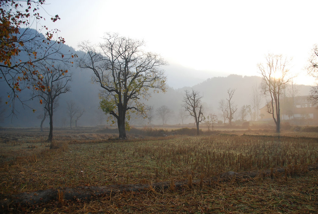 DSC_0059.JPG