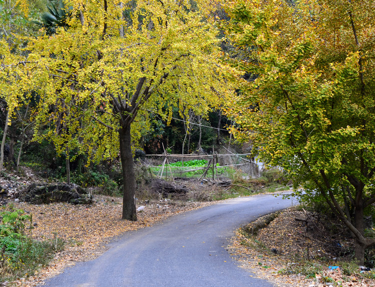 YHA_4399.jpg