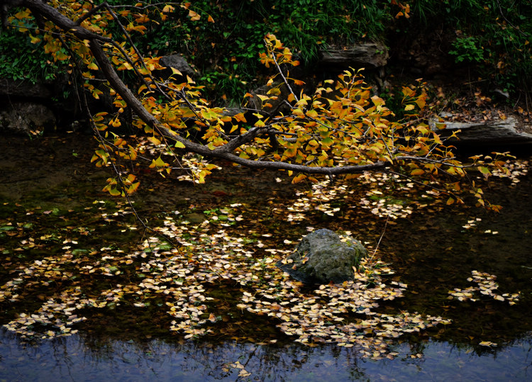 YHA_4460.jpg