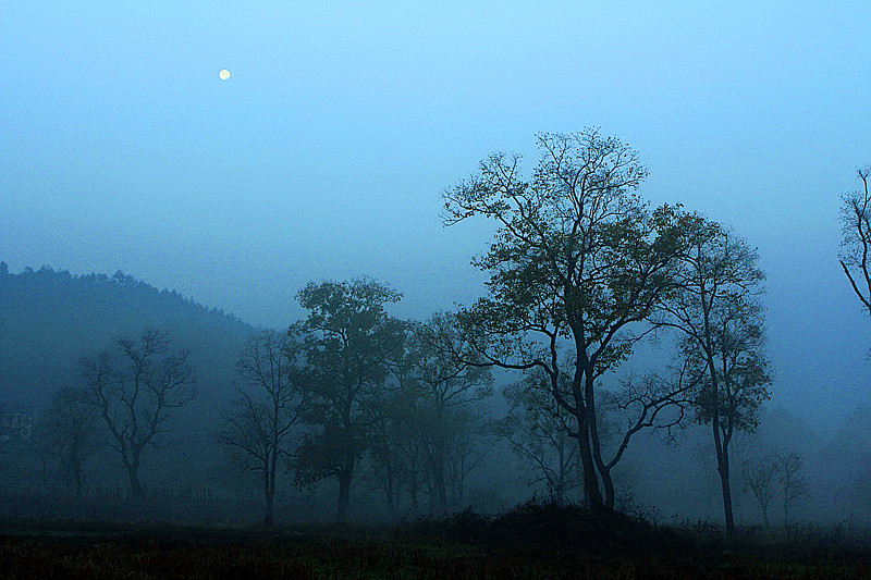 _mg_0224_.jpg