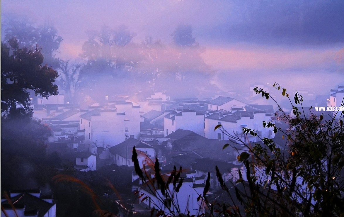 δ1.jpg