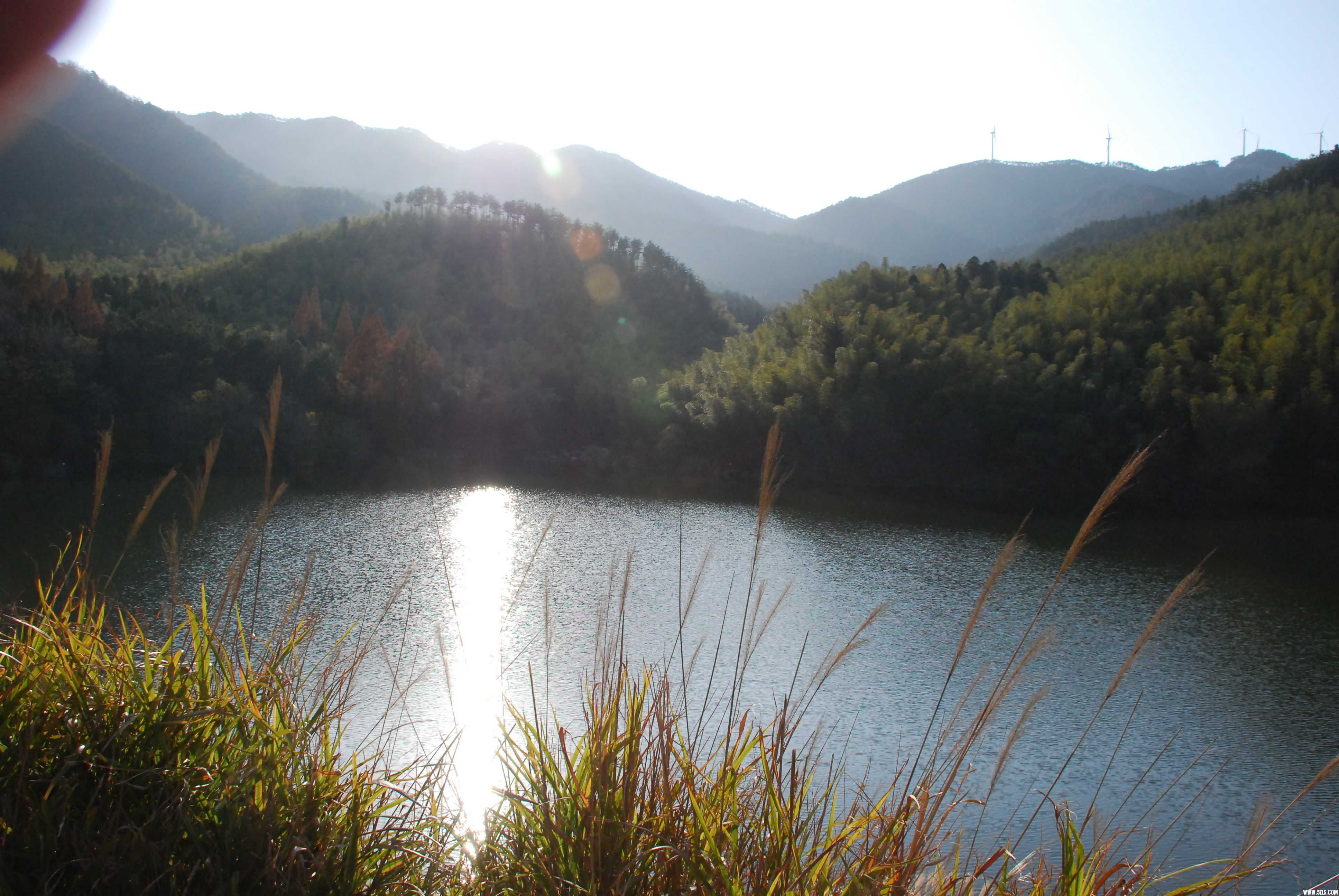 DSC_0612.JPG