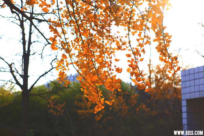 _MG_0107.jpg
