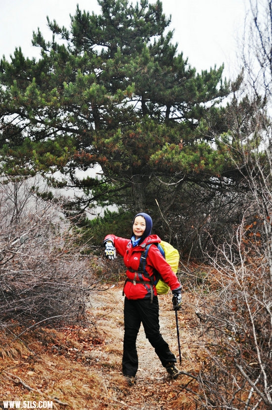 DSC_0232.JPG