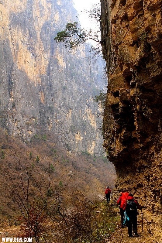 _mg_0147_.jpg
