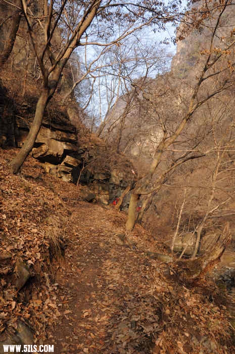 DSC_0197.jpg
