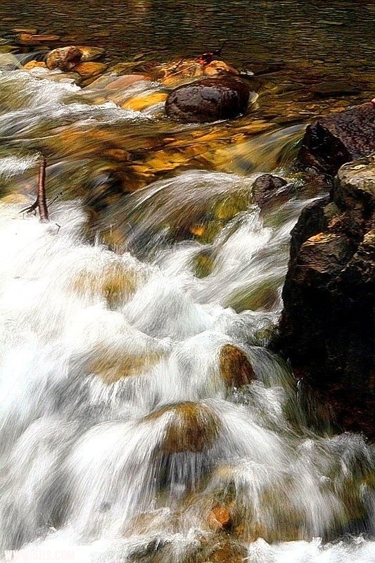 _mg_0178_.jpg
