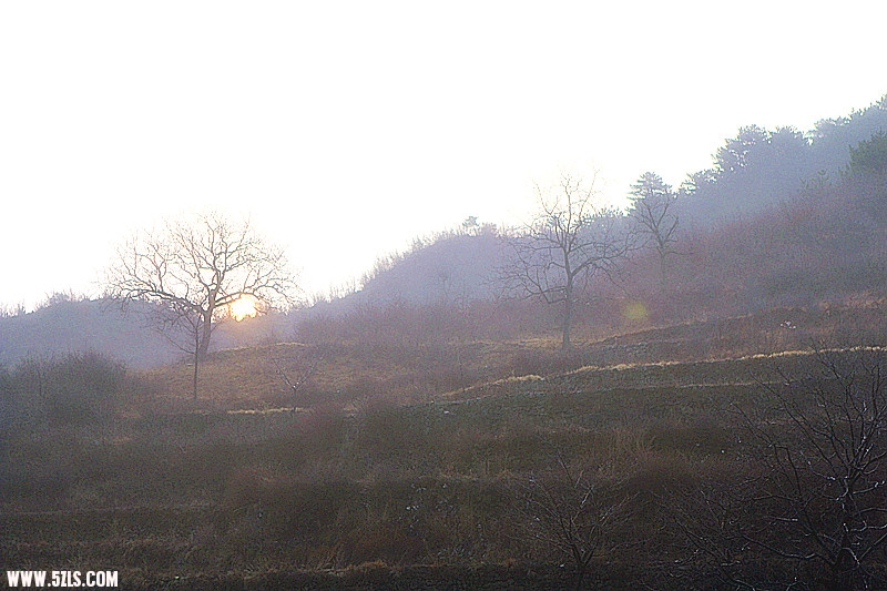 _mg_0363_.jpg