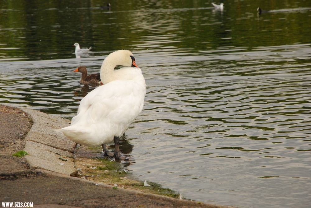 DSC_0056.JPG