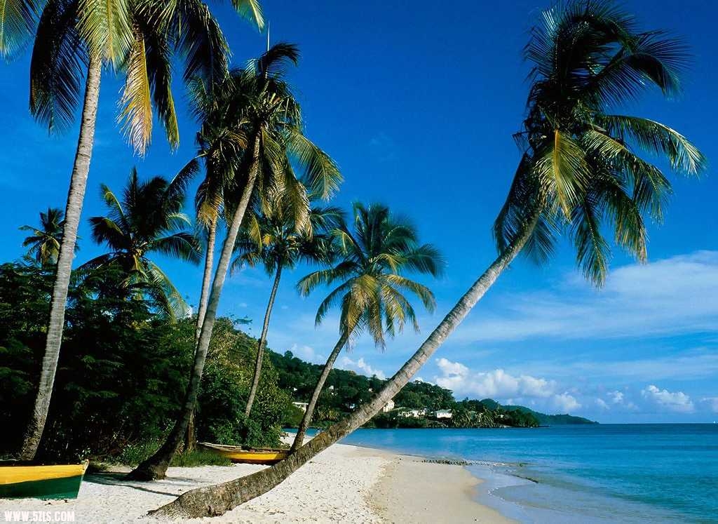 sanya_pic7.jpg