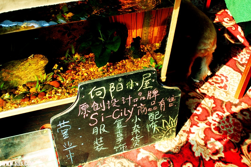 꼻 211_.jpg