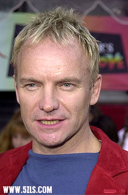 28-3-33738_sting[1].jpg