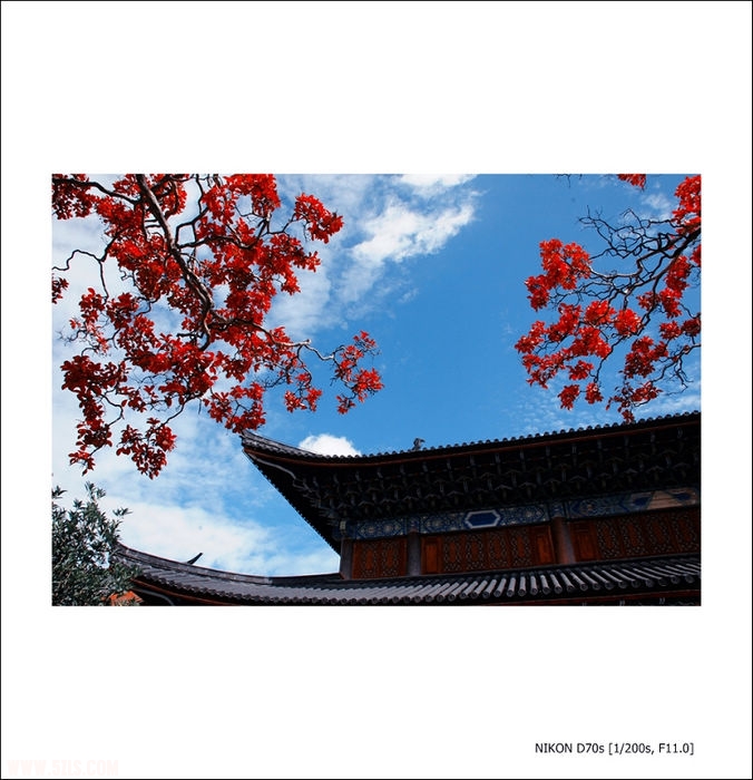 nEO_IMG_DSC_6433.jpg